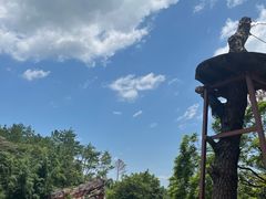 -牛鱼嘴原始生态风景区