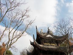 -长广溪湿地公园