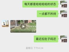 -柚子宠物(伊珊娜调理店)