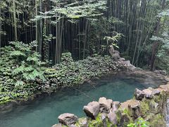 -四门塔风景区