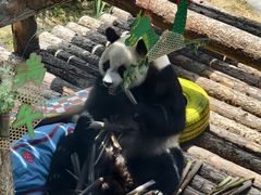 -大连森林动物园