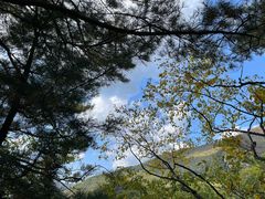 -五女峰国家森林公园