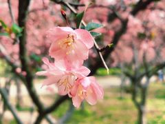 -洨河生态公园