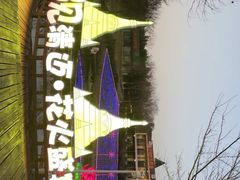 -大塘金香草谷