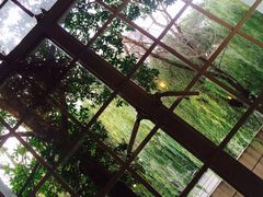 -MAISON门前杂货店
