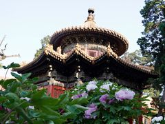-故宫博物院(故宫)