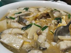-老吉堂上海本帮菜(望京万象汇店)
