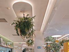 -Aqua Oasis 水天堂(太湖中心mall店)