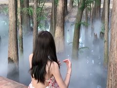 -东湖落雁景区