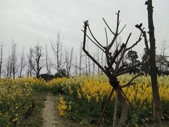 -洪湖家庭农场·团建·露营·会议