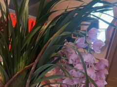 -宽来·欢聚火锅(来福士广场水景店)