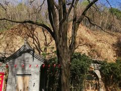 -西安曲江寒窑遗址公园