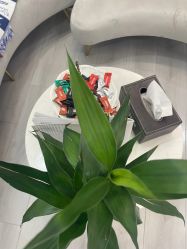 -skin79皮肤管理中心