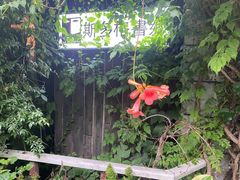 -斯多格书乡(北京大学畅春园店)