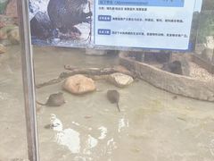 -深圳野生动物园