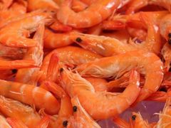 -厦门艾美酒店·新食谱西餐厅
