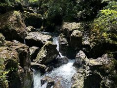 -龙苍沟森林公园
