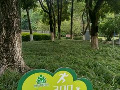 -神仙树公园