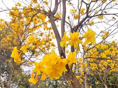 -天河儿童公园
