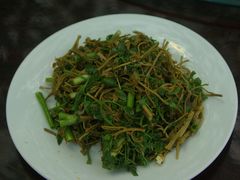 拌木莉芽-姥家大锅台水库渔家