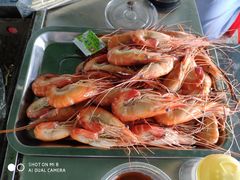 -会江钓鱼钓虾烧烤场