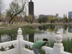 -西海子公园