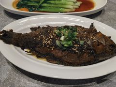 -高玛纳驴肉火烧(河间总店)