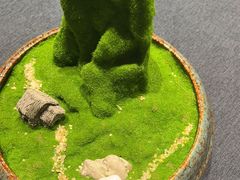 -金狮麟·新豫菜(金码大厦店)