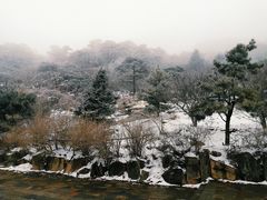 -泰山风景名胜区