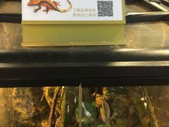-宠物世家(仲盛世界商城店)