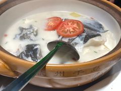 -全乐鱼馆·淳牌有机鱼直营店