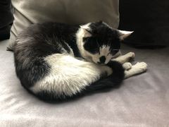 -虚荣精酿酒屋(五羊店)