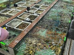 -景好海鲜餐厅(大鹏必选旅游店)