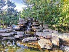 -羊亭河湿地公园