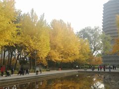 -玲珑塔公园