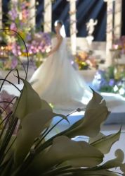 -西安威斯汀大酒店·宴会厅