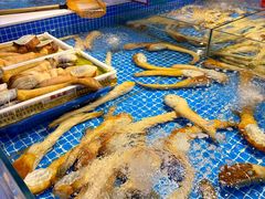 -驻海渔市(置信店)