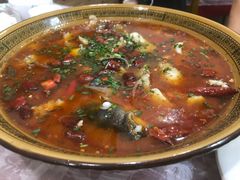 -飞虹鱼馆(春华路店)