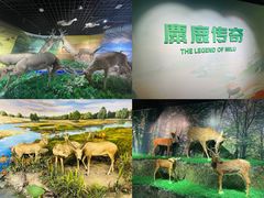 -南海子公园
