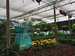 -南宫五洲植物乐园