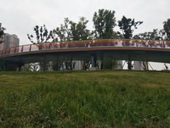-府河摄影公园