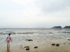 -普陀山风景名胜区-千步大沙