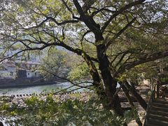 -鹿亭中村