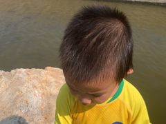 -碧海金沙