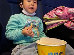 -SFC上影影城(北京大兴龙湖天街IMAX店)