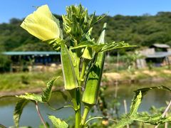 -李小龙乐园(顺德均安店)