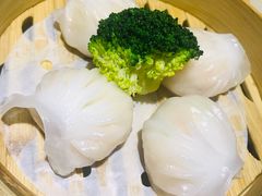 隆隆金虾饺皇-隆隆金大茶楼(地王广场店)