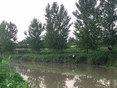 -洨河生态公园