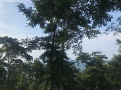 -潜山国家森林公园