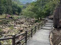 -广州白江湖森林公园